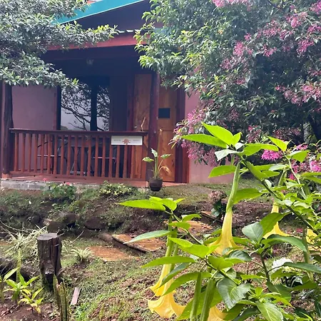 Curuba Lodge Copey Exterior foto
