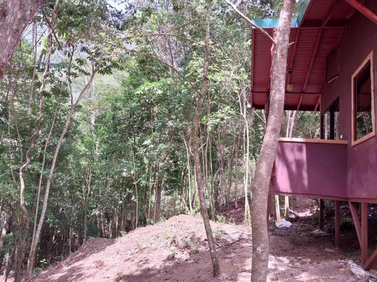 Curuba Lodge