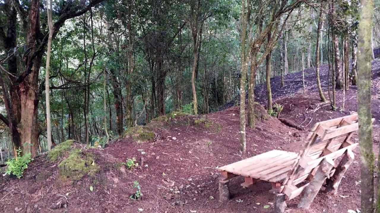 Lodge Curuba Copey