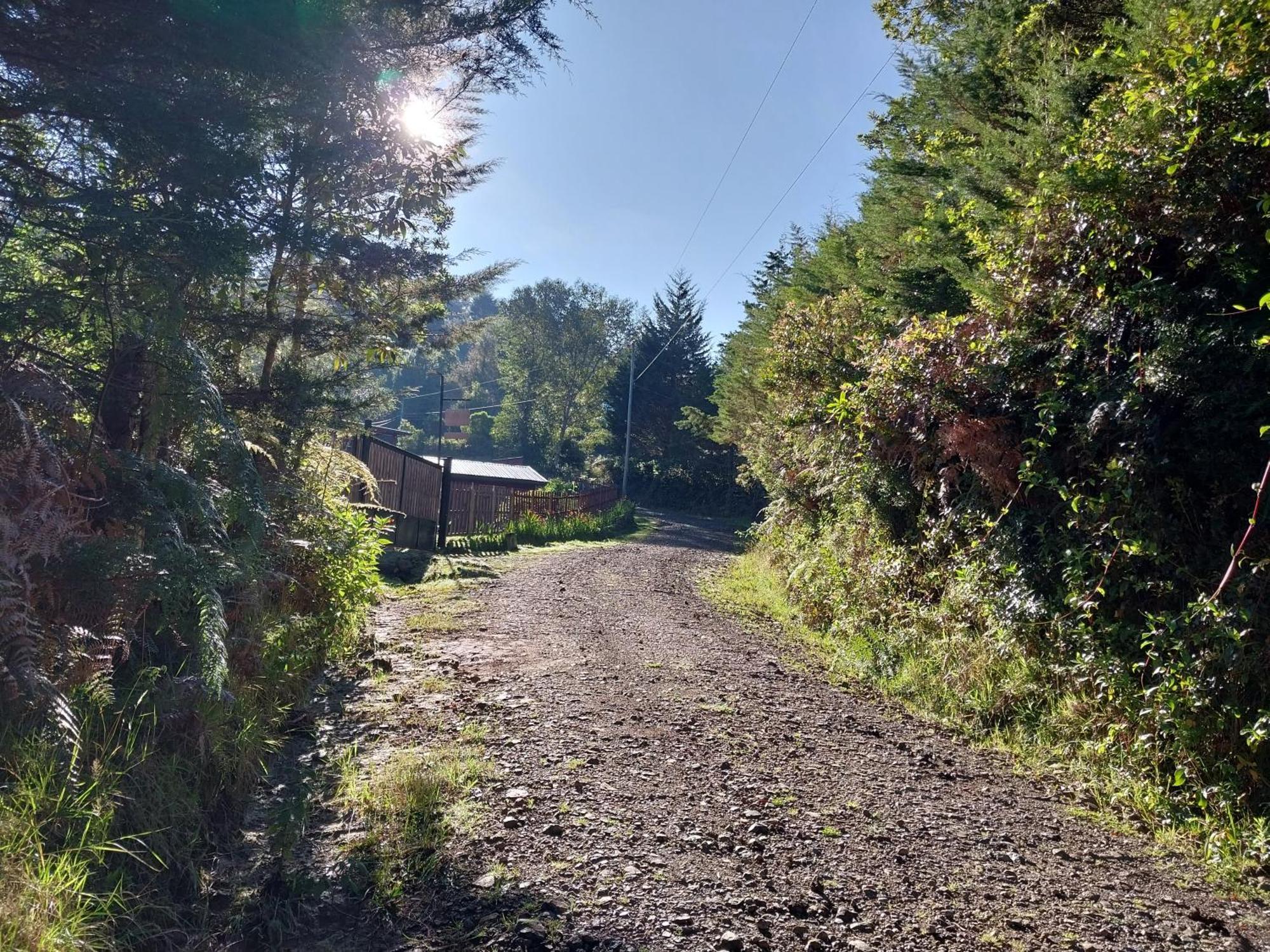 Curuba Lodge *